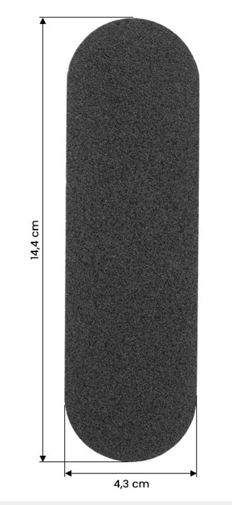 Vervangbare papieren voor metalen eeltrasp FS-15 10 stuks, korrel 100